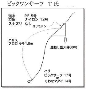 投げ釣り仕掛け マダイ クロダイ 釣り場 千葉県県館山市坂田 静岡県西伊豆町田子港尊之島堤防