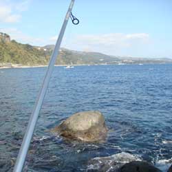 投げ釣り：静岡県伊東市でカワハギ釣り