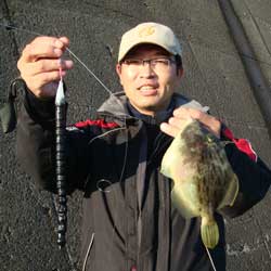 投げ釣り！東京フロンティアサーフ-かわはぎ伊豆例会