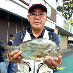 千葉サーフE氏　ヘダイを釣る